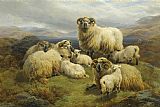 Sheep in the Highlands by Unknown Artist